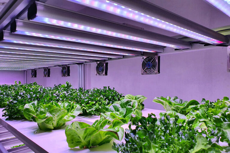 Agriculture-light